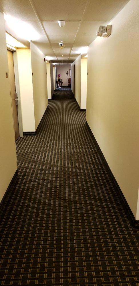 Hotel Super 8 By Wyndham Windsor Extérieur photo